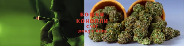 соль ск Козловка