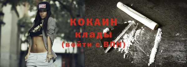 соль ск Козловка