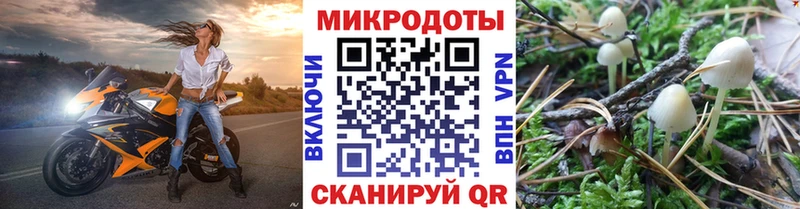 Купить закладки  Приволжск  Галлюциногенные грибы Magic Shrooms 